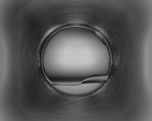 X0000086291022200704131543