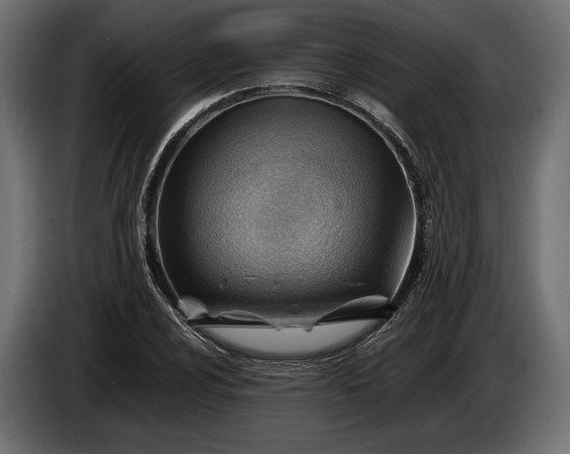 X0000086291024200704131543