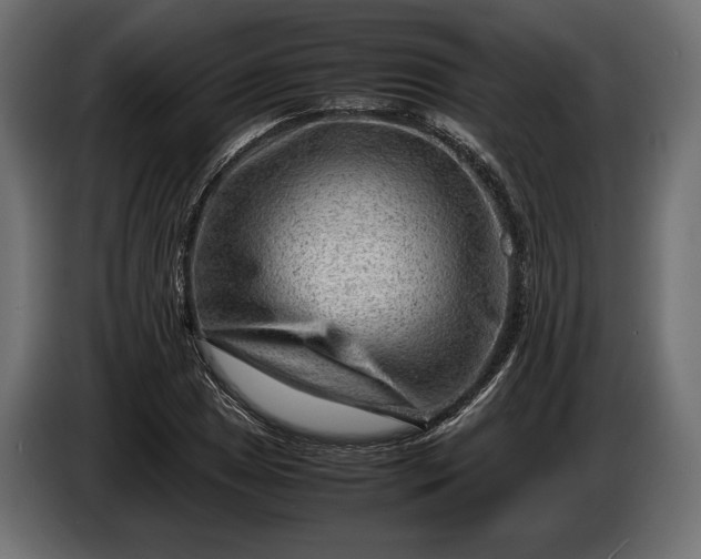 X0000086291025200704131543