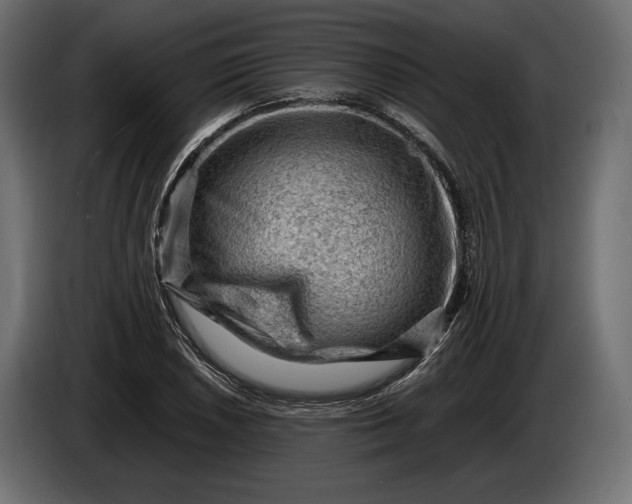 X0000086291026200704131543