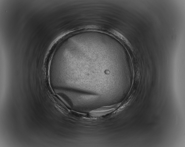 X0000086291027200704131543