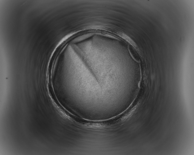 X0000086291028200704131543