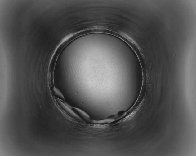 X0000086291029200704131543