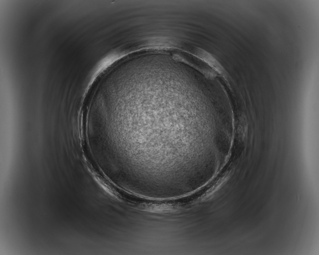 X0000086291030200704131543