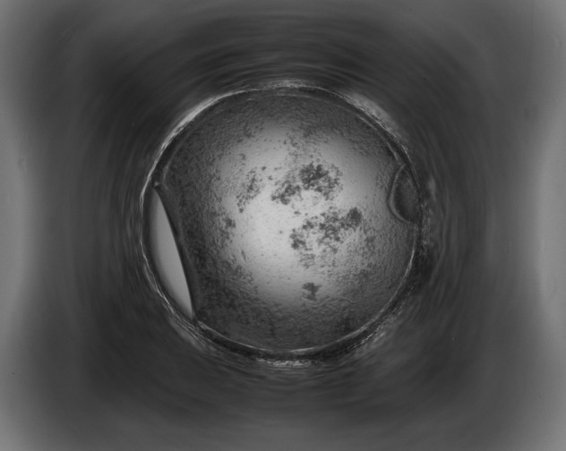 X0000086291031200704131543
