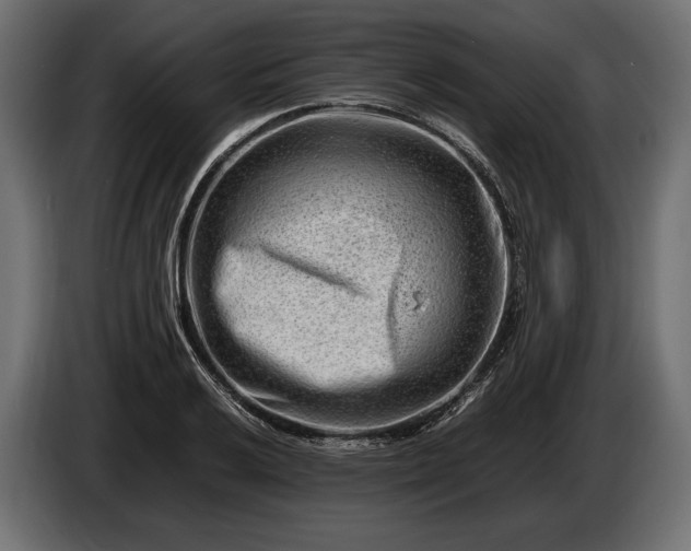 X0000086291032200704131543