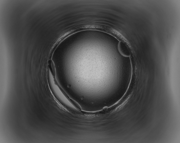 X0000086291033200704131543