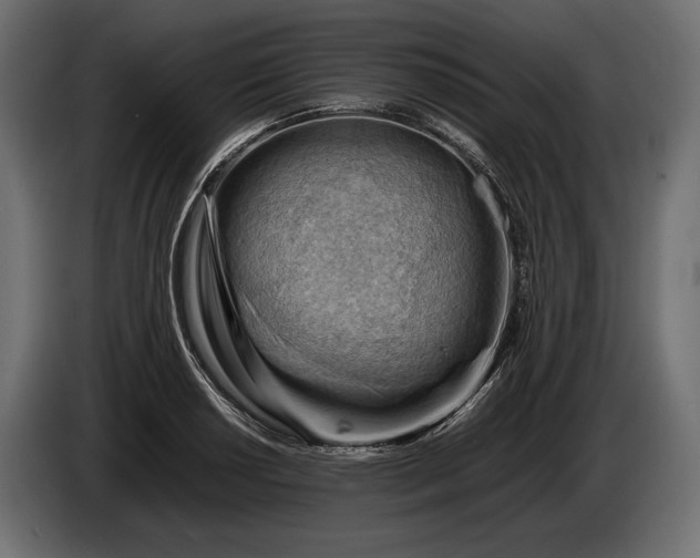 X0000086291034200704131543