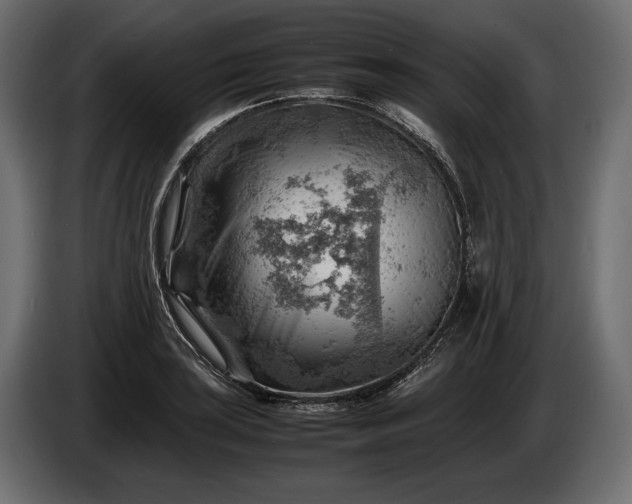 X0000086291035200704131543