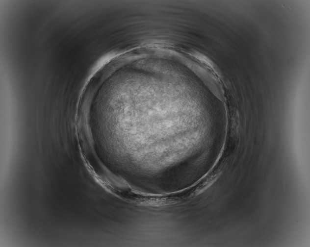 X0000086291038200704131543