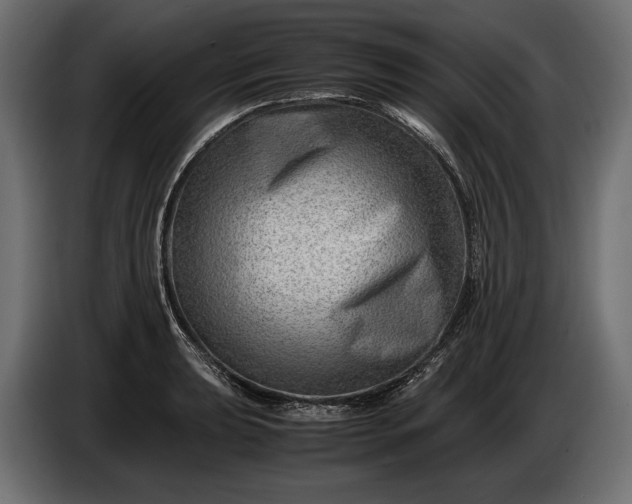X0000086291039200704131543