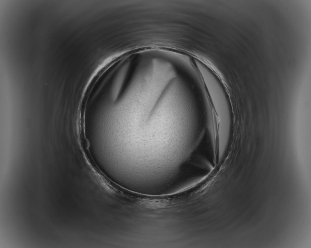 X0000086291040200704131543