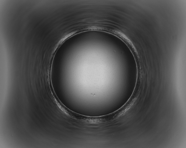 X0000086291041200704131543