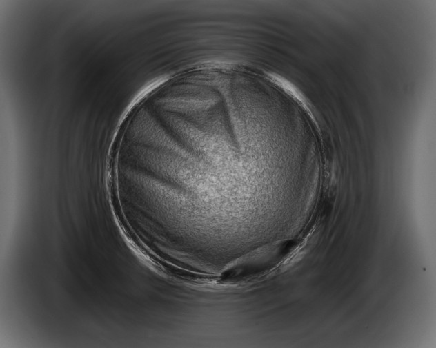 X0000086291042200704131543