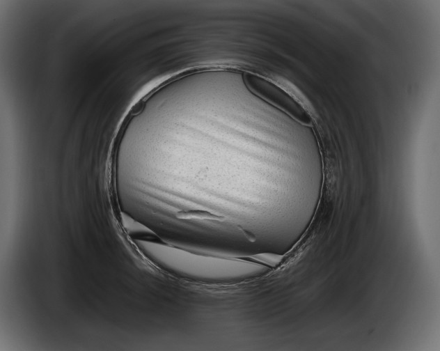 X0000086291044200704131543