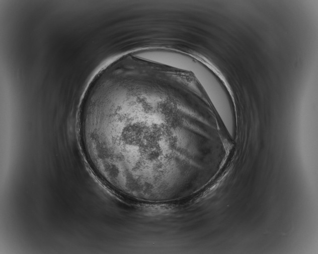 X0000086291045200704131543