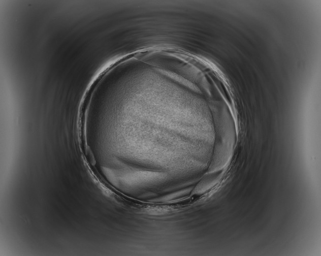 X0000086291046200704131543