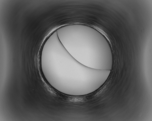 X0000086291047200704131543