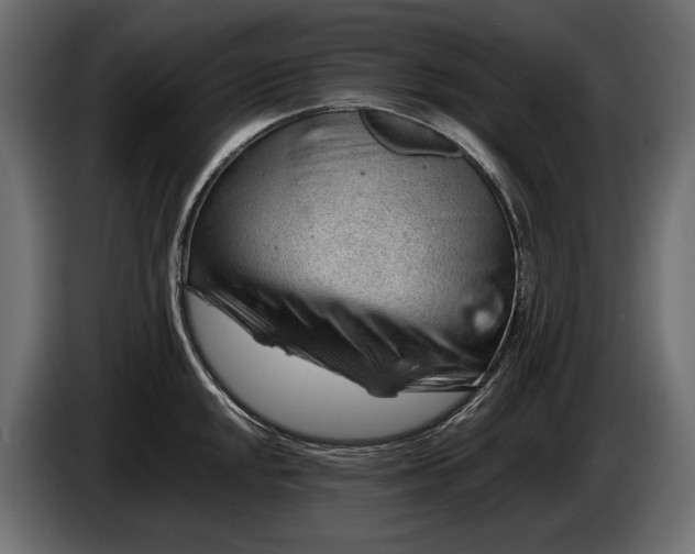 X0000086291048200704131543