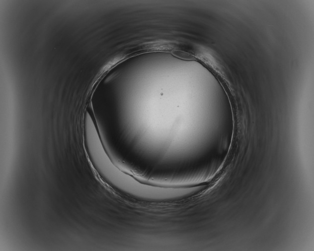 X0000086291049200704131543