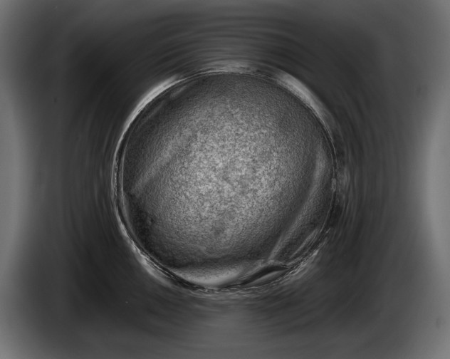 X0000086291050200704131543