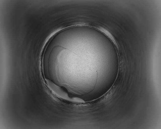 X0000086291051200704131543