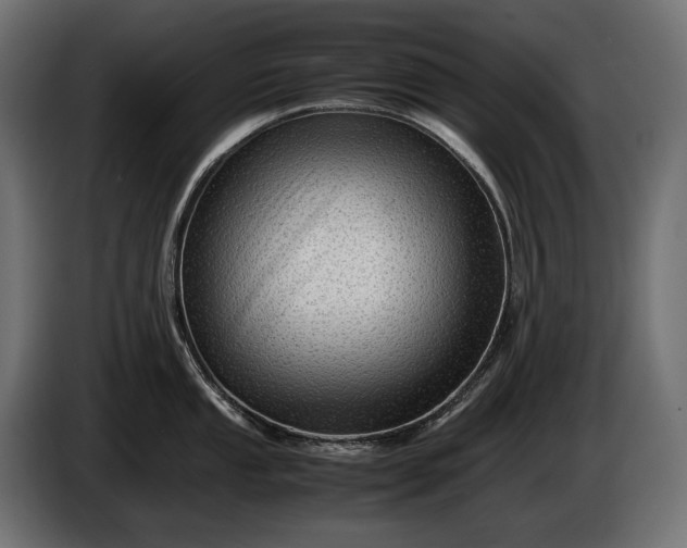 X0000086291053200704131543
