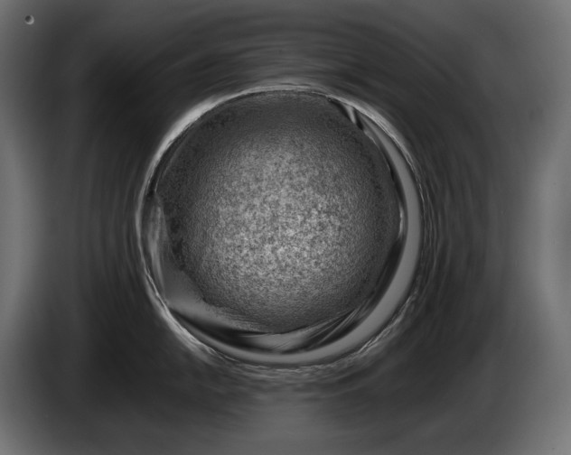 X0000086291054200704131543