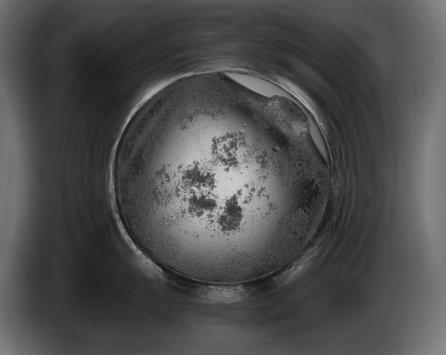 X0000086291055200704131543