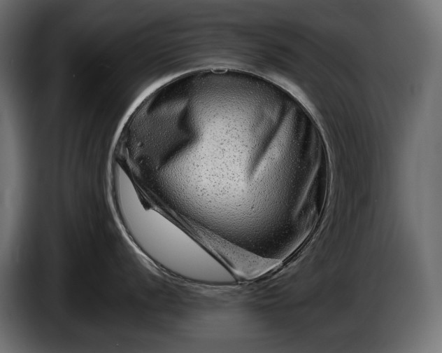 X0000086291056200704131543
