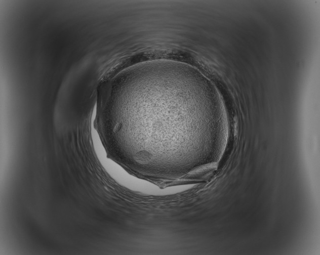 X0000086291059200704131543