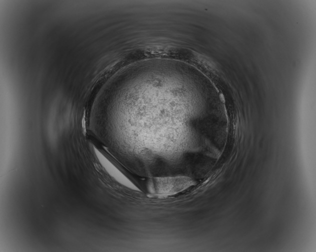X0000086291060200704131543