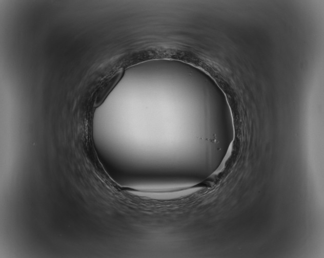 X0000086291061200704131543