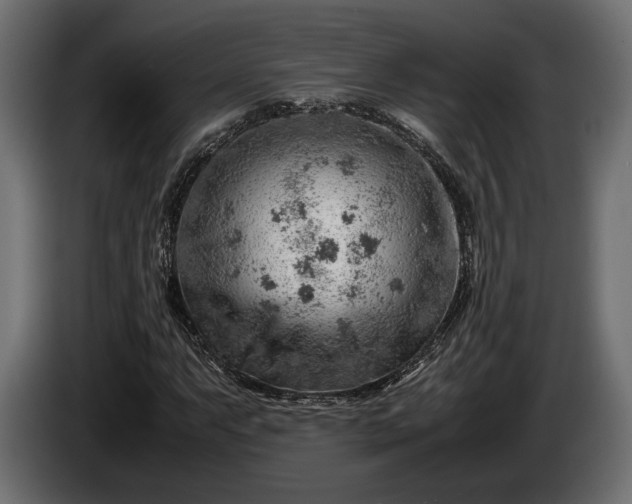 X0000086291063200704131543