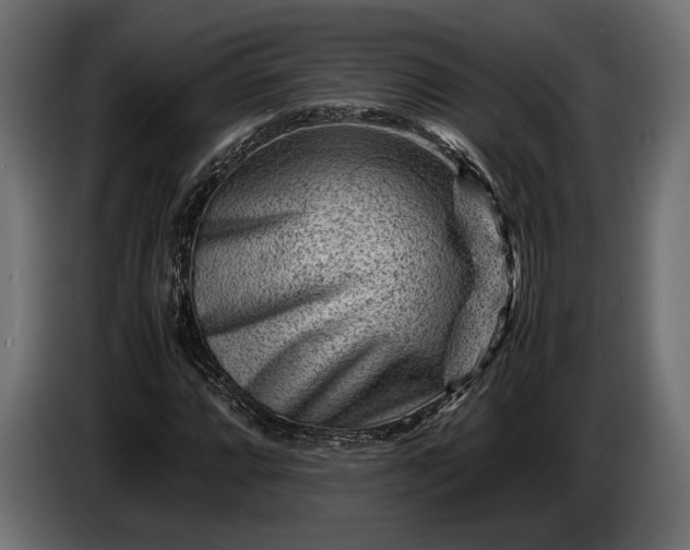 X0000086291064200704131542