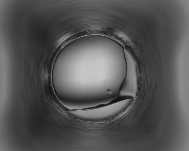 X0000086291065200704131542