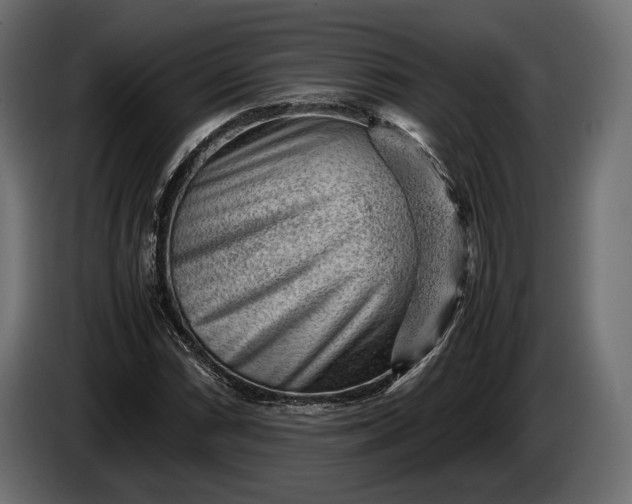 X0000086291066200704131542