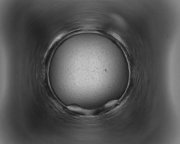 X0000086291067200704131542