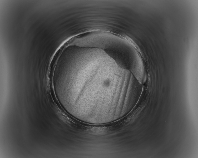 X0000086291068200704131542