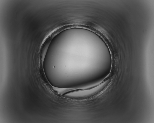 X0000086291069200704131542