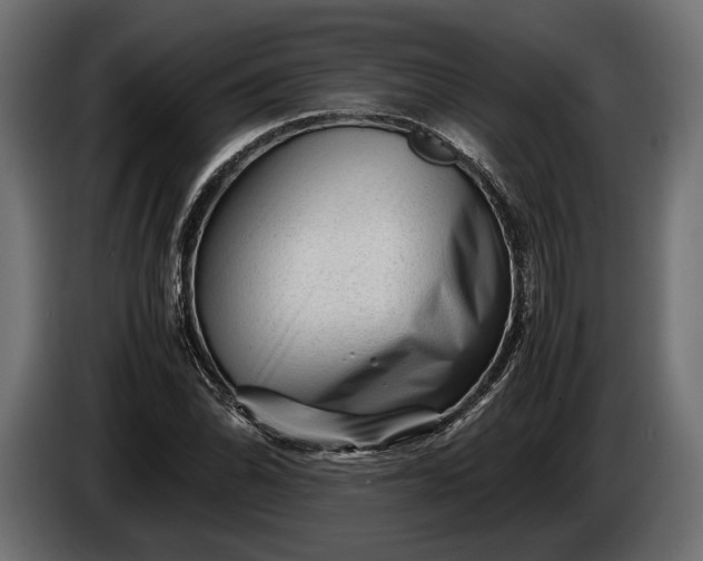 X0000086291070200704131542