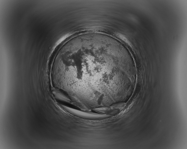 X0000086291071200704131542