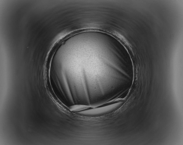 X0000086291072200704131542