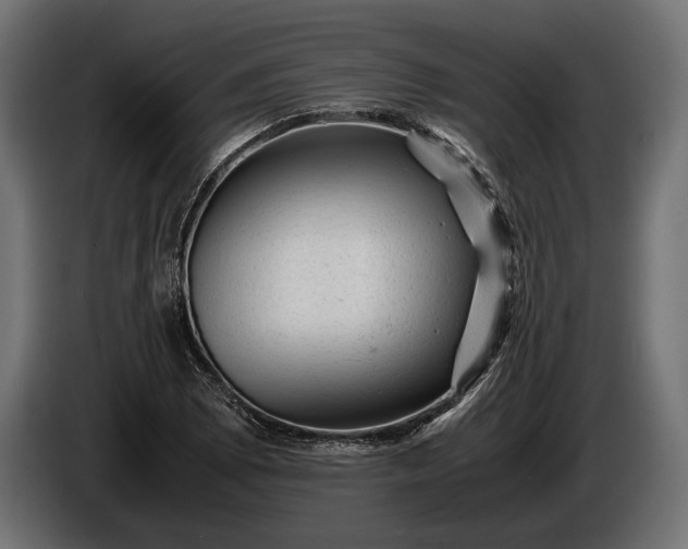 X0000086291073200704131542