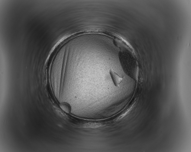 X0000086291075200704131542