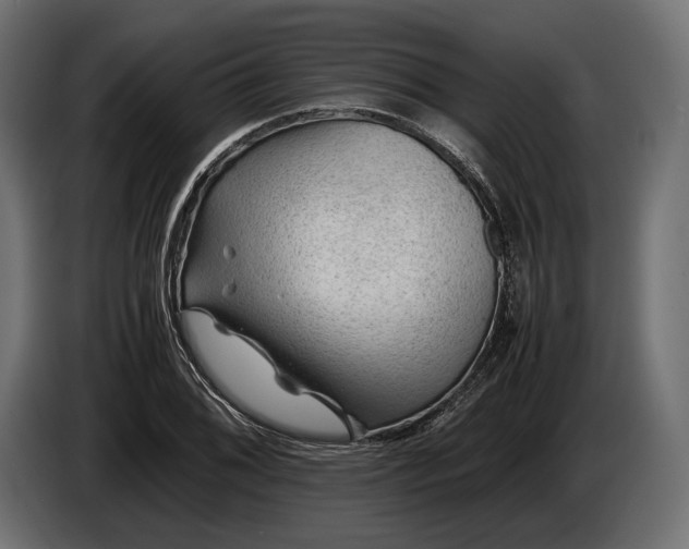 X0000086291076200704131542