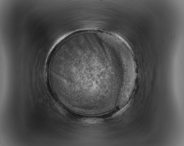X0000086291077200704131542