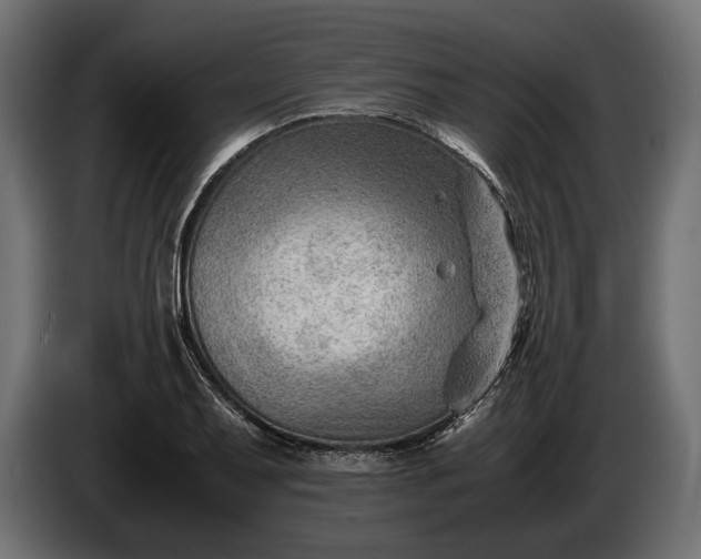 X0000086291079200704131542
