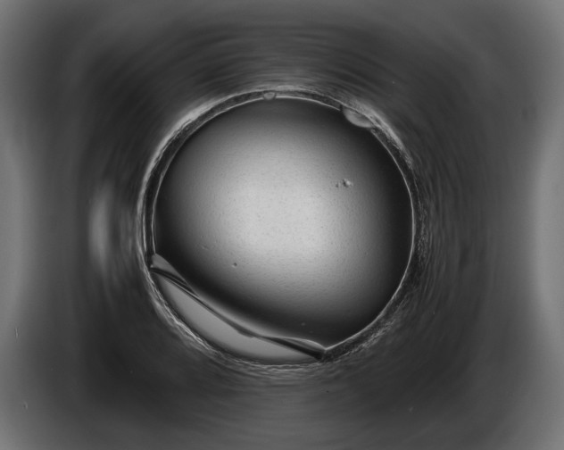 X0000086291080200704131542