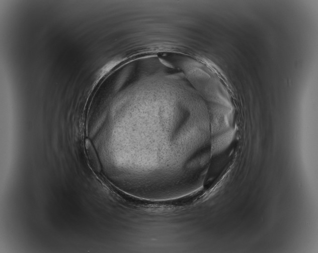 X0000086291081200704131542